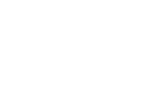 99TRITON STORY